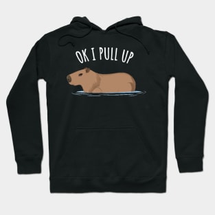 Capybara - Ok I Pull Up Hoodie